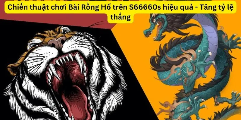 Chiến thuật chơi Bài Rồng Hổ trên S66660s hiệu quả - Tăng tỷ lệ thắng