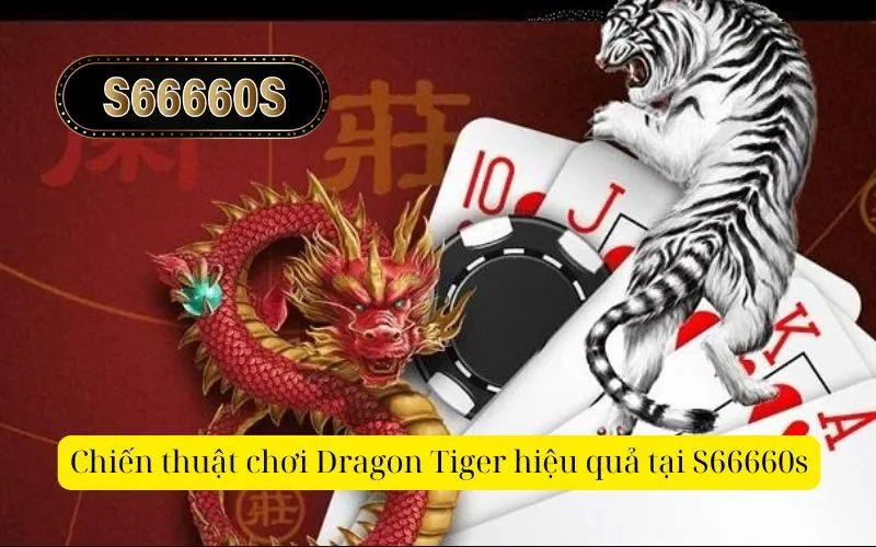 Chiến thuật chơi Dragon Tiger hiệu quả tại S66660s