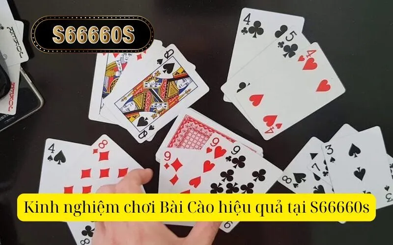 Kinh nghiệm chơi Bài Cào hiệu quả tại S66660s