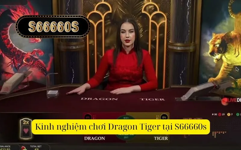 Kinh nghiệm chơi Dragon Tiger tại S66660s