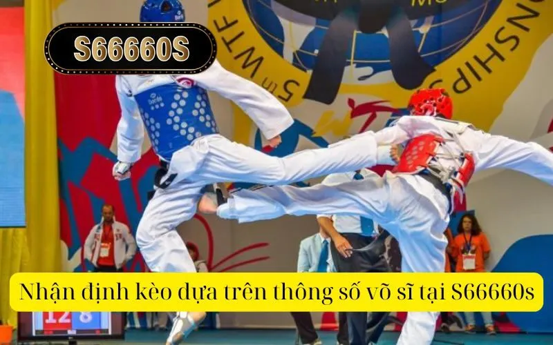 Nhận định kèo dựa trên thông số võ sĩ tại S66660s