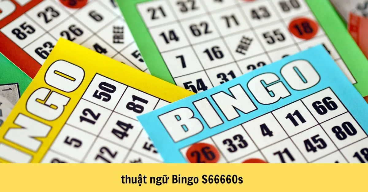 thuật ngữ Bingo S66660s