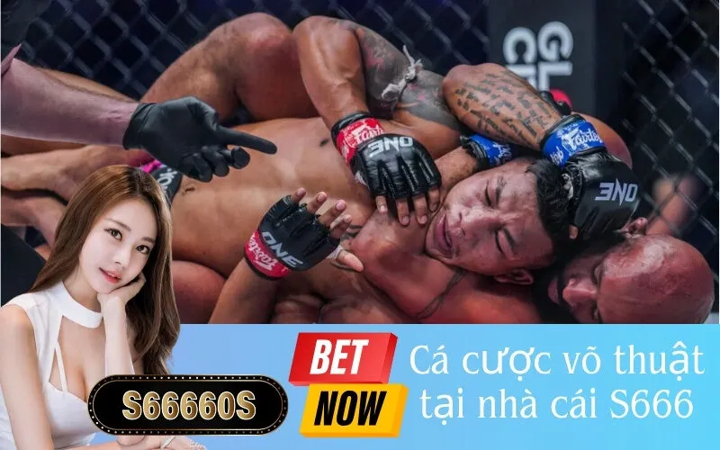 Cá cược võ thuật tại nhà cái S666